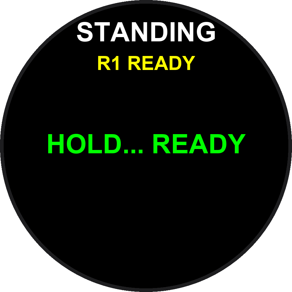 靜止確認 READY